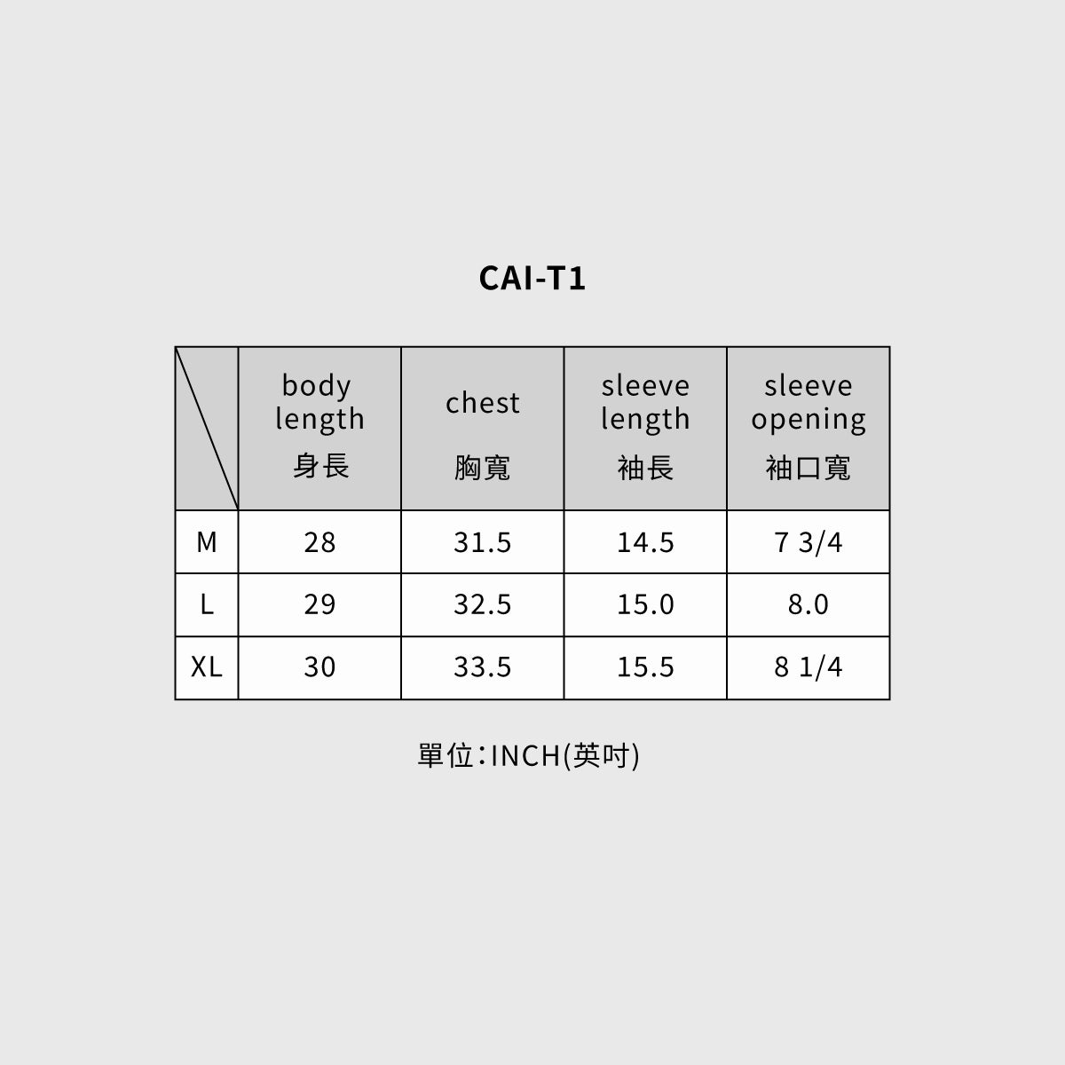 CAI-T1-03 T恤 / 灰色
